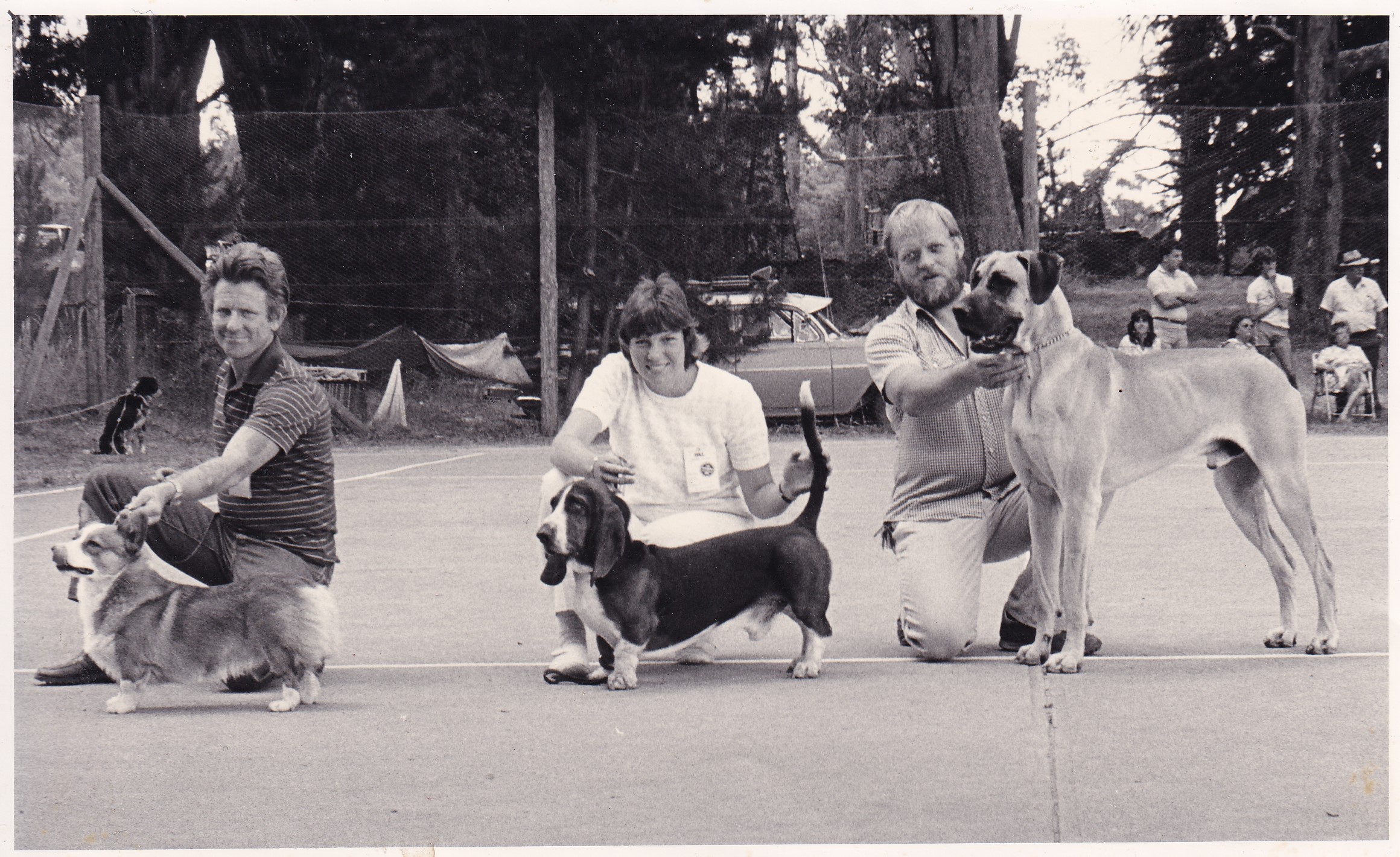 5786 – Dog Show – Stanley Family Album